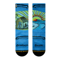 Merge4 Bradley's House Crew Socks Sunny Smith LLC