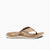 REEF SANTA ANA MEN'S SANDAL Sunny Smith LLC