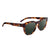 SPY Sunglasses Cedros