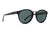VON ZIPPER STAX SUNGLASSES Sunny Smith LLC